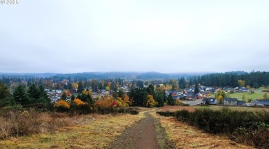 Prime 66.82-Acre Development property with Panoramic Valley - photo 11