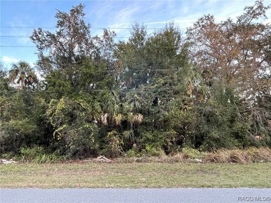 Homosassa River Lot For Sale in Homosassa Florida