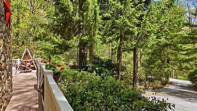Welcome to Laurel Pond, where mountain adventure meets peaceful - photo 43