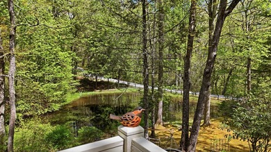 Welcome to Laurel Pond, where mountain adventure meets peaceful - photo 45