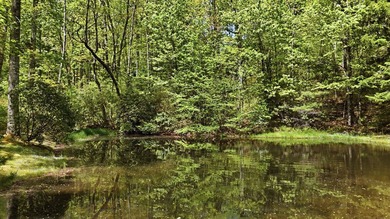 Welcome to Laurel Pond, where mountain adventure meets peaceful - photo 47