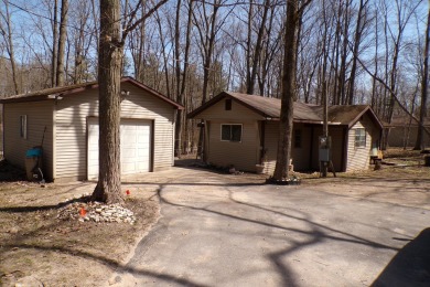 Sanford Lake - Benzie County Home For Sale in Lake Ann Michigan