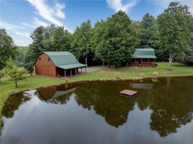Lake Home For Sale in Canadice, New York