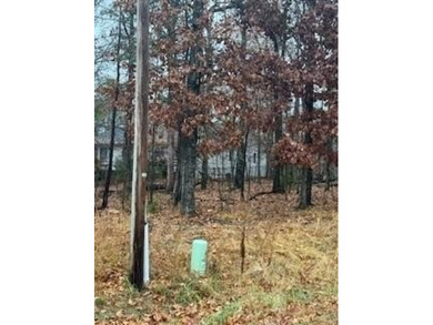 Lake Rayburn Lot For Sale in Bella Vista Arkansas