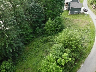 Build the Lake Home You've Always Imagined at the lake! Call Josh - photo 2