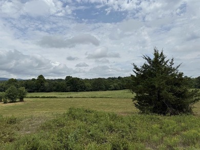 Beautiful 10+/- acre parcel located just outside of Mena near - photo 3