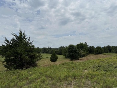 Beautiful 10+/- acre parcel located just outside of Mena near - photo 4