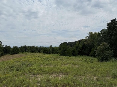 Beautiful 10+/- acre parcel located just outside of Mena near - photo 5