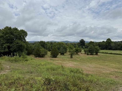 Beautiful 10+/- acre parcel located just outside of Mena near - photo 6