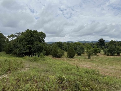 Beautiful 10+/- acre parcel located just outside of Mena near - photo 7
