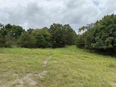 Beautiful 10+/- acre parcel located just outside of Mena near - photo 8