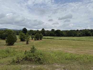 Beautiful 10+/- acre parcel located just outside of Mena near - photo 10