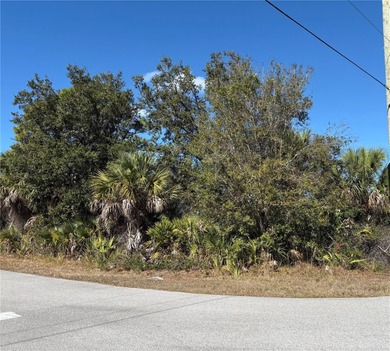Port Charlotte Waterway Area Lot For Sale in Port Charlotte Florida