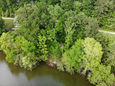 Build the Lake Home You've Always Imagined at the lake! Call Josh - photo 6