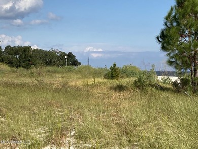 One of the last parcels directly on the beach overlooking the - photo 16
