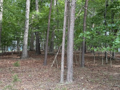 Two Amazing Waterfront Lots combined featuring 1.45+/- acres & - photo 5