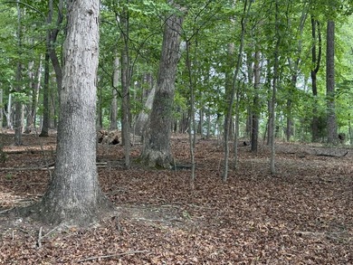 Two Amazing Waterfront Lots combined featuring 1.45+/- acres & - photo 7