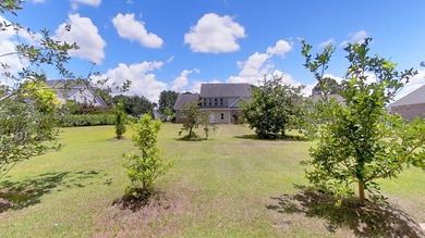 Welcome to 107 Andee Way in desirable Sweetbrier Lake! This - photo 10
