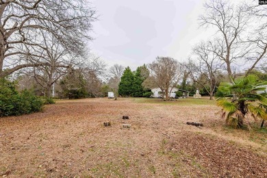 Incredible opportunity in the heart of Lexington! Recently - photo 5