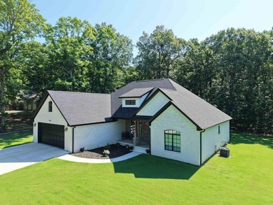 Like-new custom home in one of Pocahontas' most desirable - photo 1