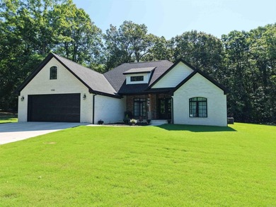Like-new custom home in one of Pocahontas' most desirable - photo 2