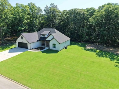 Like-new custom home in one of Pocahontas' most desirable - photo 4