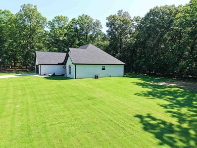 Like-new custom home in one of Pocahontas' most desirable - photo 9
