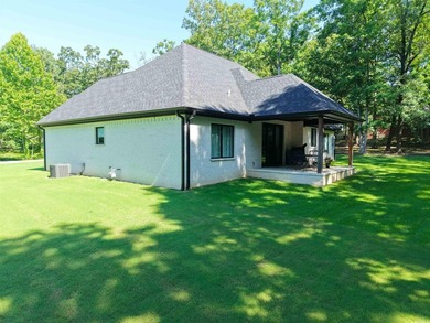 Like-new custom home in one of Pocahontas' most desirable - photo 10