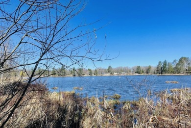Lake Hiawatha Lot For Sale in Atlanta Michigan