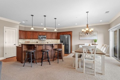 LAKEFRONT! BOAT SLIP! GARAGE! Somebody pinch me! Live the best - photo 8