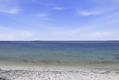 Located on coveted Holiday Isle, this fully furnished - photo 34