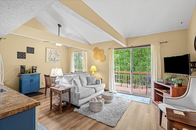 Turn-Key Fall Creek Condo with Stylish Finishes & Prime Branson - photo 3