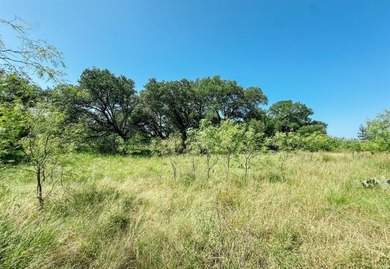Lake Acreage For Sale in Brownwood, Texas