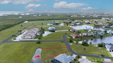 LIVE THE FLORIDA DREAM WITH THIS BEAUTIFUL LAKE FRONT LOT IN - photo 16