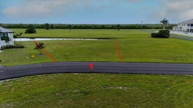LIVE THE FLORIDA DREAM WITH THIS BEAUTIFUL LAKE FRONT LOT IN - photo 18