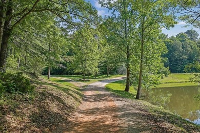 Hidden within the gated Great Oaks community, this extraordinary - photo 46