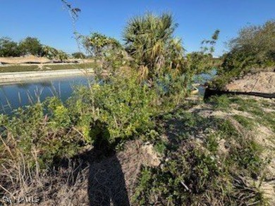 This freshwater lot is located in an area of Cape Coral that is - photo 3