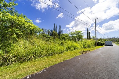 Don't miss this piece of paradise in Hawaiian Shores - photo 6