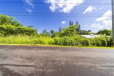 Don't miss this piece of paradise in Hawaiian Shores - photo 7