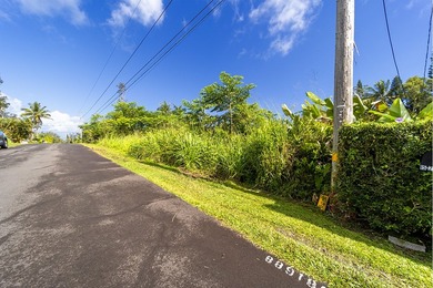 Don't miss this piece of paradise in Hawaiian Shores - photo 8