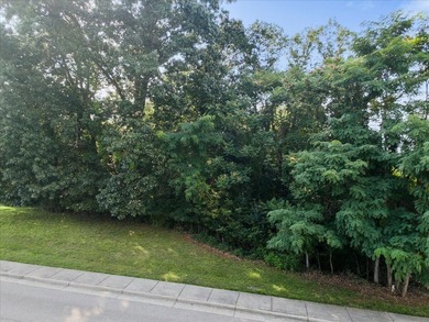 Discover the perfect setting for your dream home in the - photo 3