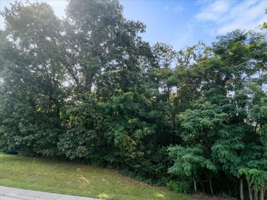 Discover the perfect setting for your dream home in the - photo 4