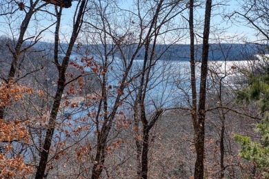 4.5 Acres of Lake Views, Cliffs, and Beaver Lake Frontage! - photo 11