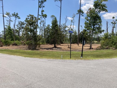 Lake Lot For Sale in Panama  City, Florida