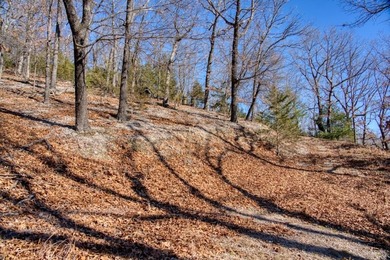 4.5 Acres of Lake Views, Cliffs, and Beaver Lake Frontage! - photo 12