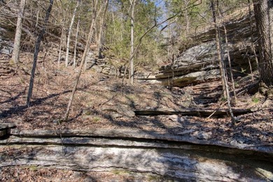 4.5 Acres of Lake Views, Cliffs, and Beaver Lake Frontage! - photo 13