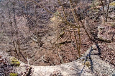 4.5 Acres of Lake Views, Cliffs, and Beaver Lake Frontage! - photo 14