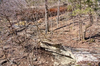 4.5 Acres of Lake Views, Cliffs, and Beaver Lake Frontage! - photo 15