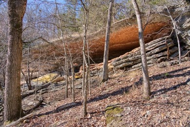 4.5 Acres of Lake Views, Cliffs, and Beaver Lake Frontage! - photo 16