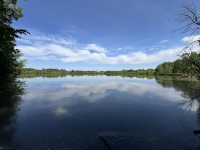 Lake Acreage For Sale in Mayville, Michigan
